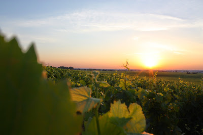 Domaine Henri Rebourseau à Gevrey-Chambertin