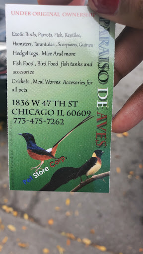Pet Store «Paraiso De Aves», reviews and photos, 1836 W 47th St, Chicago, IL 60609, USA