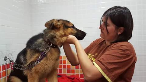 Clínica Veterinaria Almodovar en Almodóvar del Campo