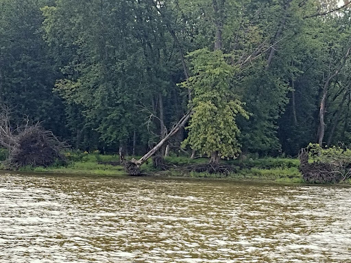 Boat Tour Agency «Maiden Voyage Tours», reviews and photos, 111 Front St, McGregor, IA 52157, USA