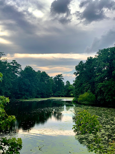 Golf Course «Brock Park Golf Course», reviews and photos, 8201 John Ralston Rd, Houston, TX 77044, USA