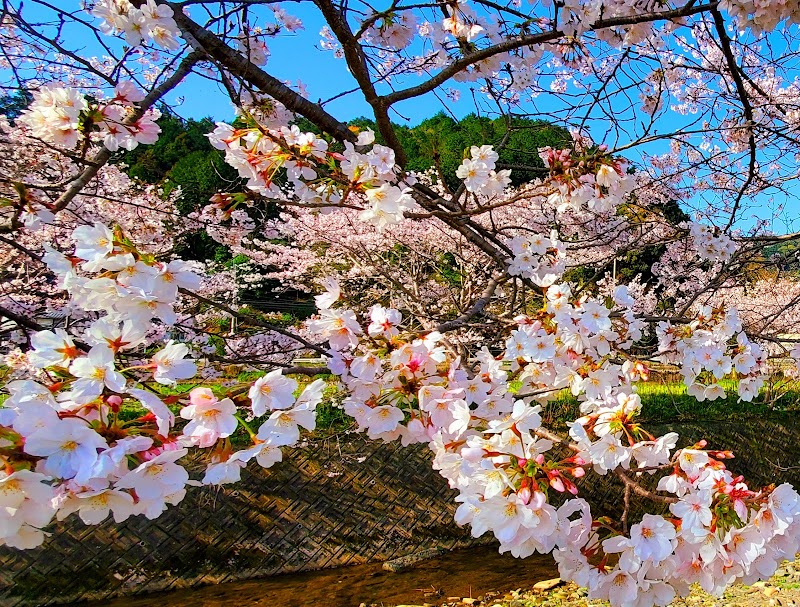 琴海戸根川 長崎県長崎市琴海戸根町 公園 公園 グルコミ