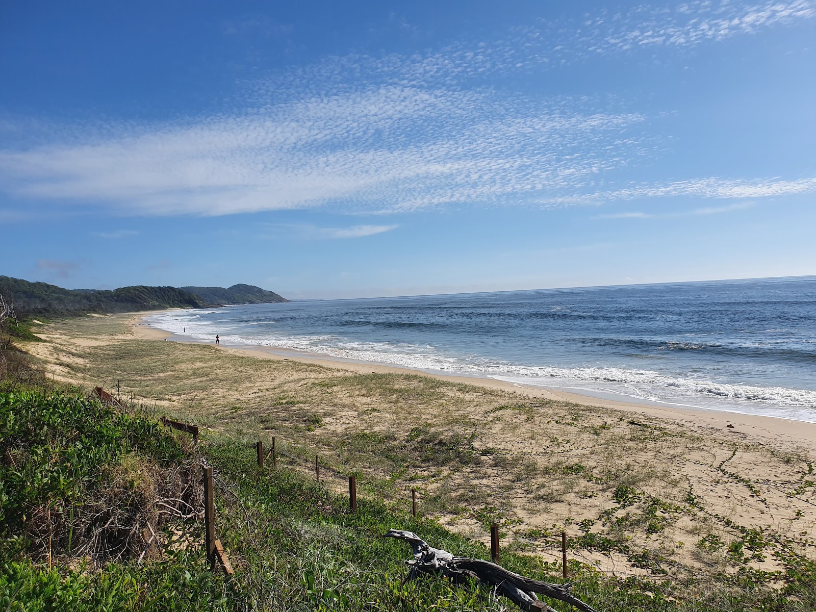 Grassy Beach photo #7
