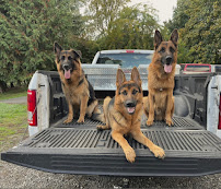 St. Francis Animal Hospital - Photo 9 - Car repair in Orchards, WA, Vancouver