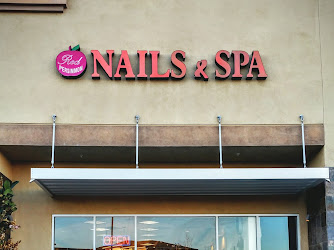 Red Persimmon Nail and Spa