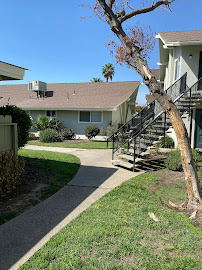 Huerta Landscaping Service - Photo 3 - Car repair in , Visalia