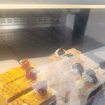 Photo n°3 de l'avis de Valentina.a fait le 03/04/2024 à 17:03 sur le  La Carbonara Restaurant à Caniço