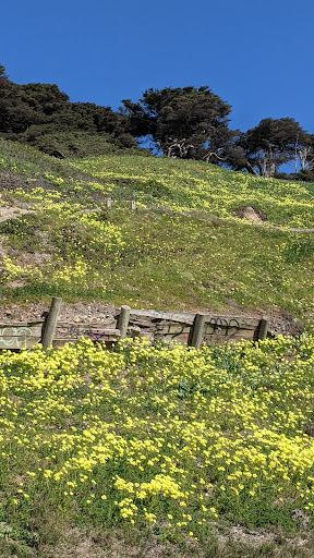 Public Golf Course «Golden Gate Park Golf Course», reviews and photos, 970 47th Ave, San Francisco, CA 94121, USA