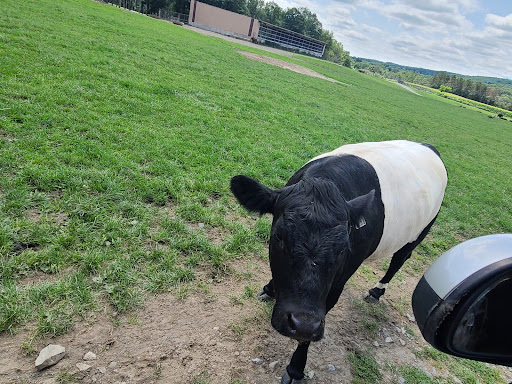 Restaurant «Hidden Valley Animal Adventure», reviews and photos, 2887 Royce Rd, Varysburg, NY 14167, USA