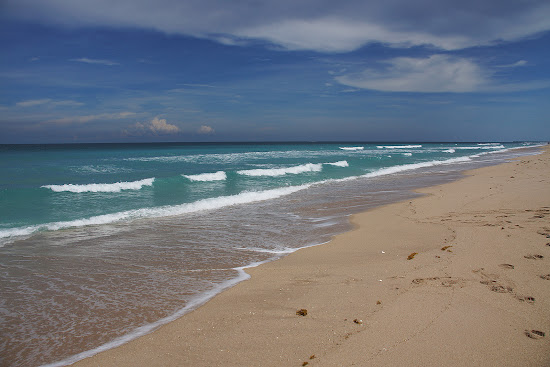 Indian River Oaks beach