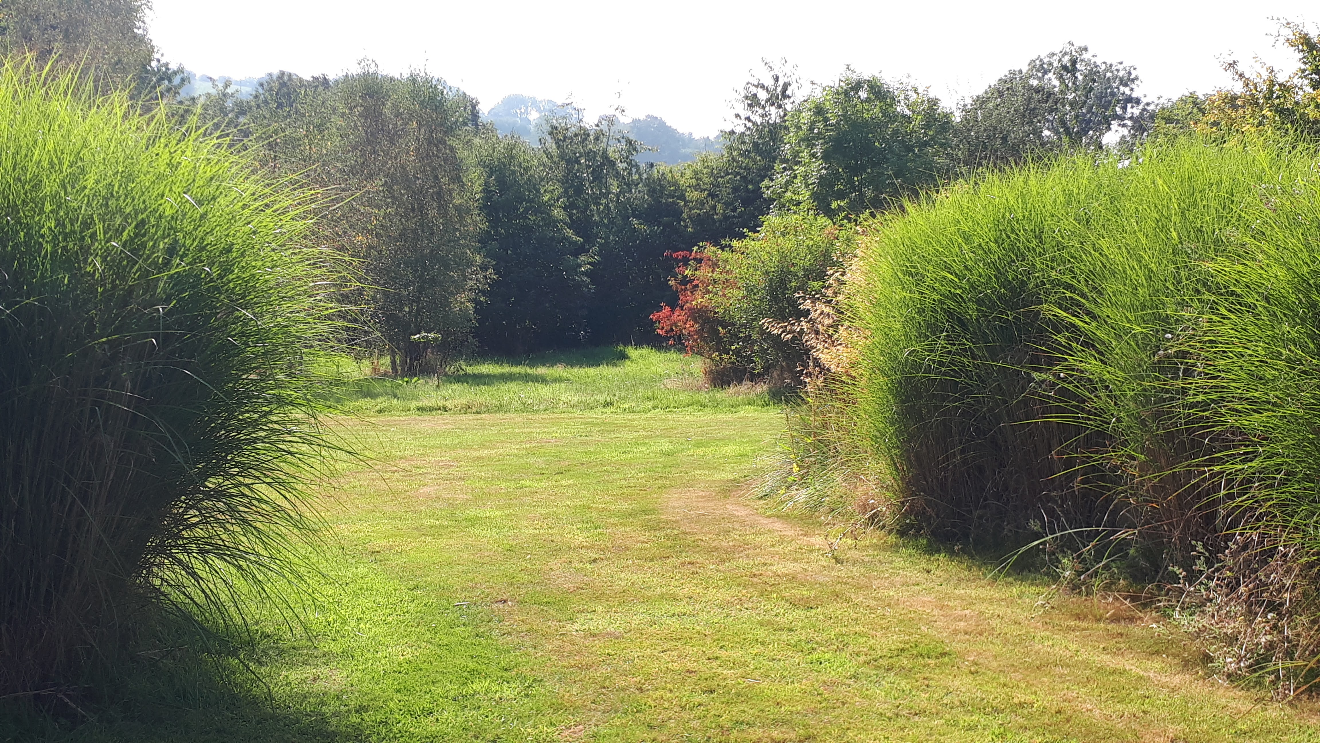 Photo n° 5 de l'avis de i. fait le 19/08/2020 à 14:18