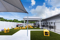 PetSuites Baton Rouge - Photo 7 - Car repair in Baton Rouge, LA, Baton Rouge