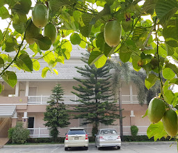 Park Inn Chiang Rai photo