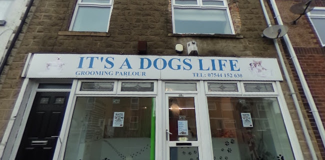 It's A Dogs Life Grooming Parlour - Durham