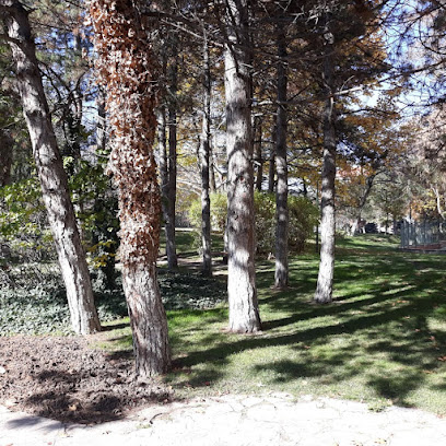 Anadolu Üniversitesi Yunus Emre Kampüsü Atelyeler