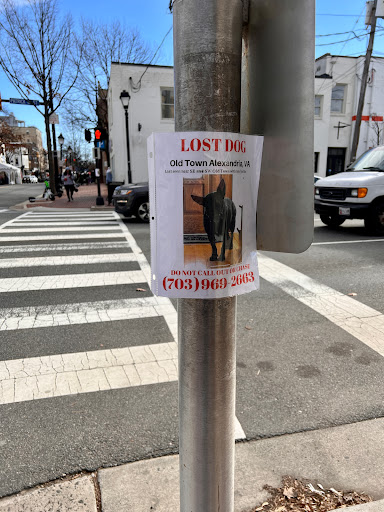 Lingerie Store «Bloomers», reviews and photos, 924 King St, Alexandria, VA 22314, USA