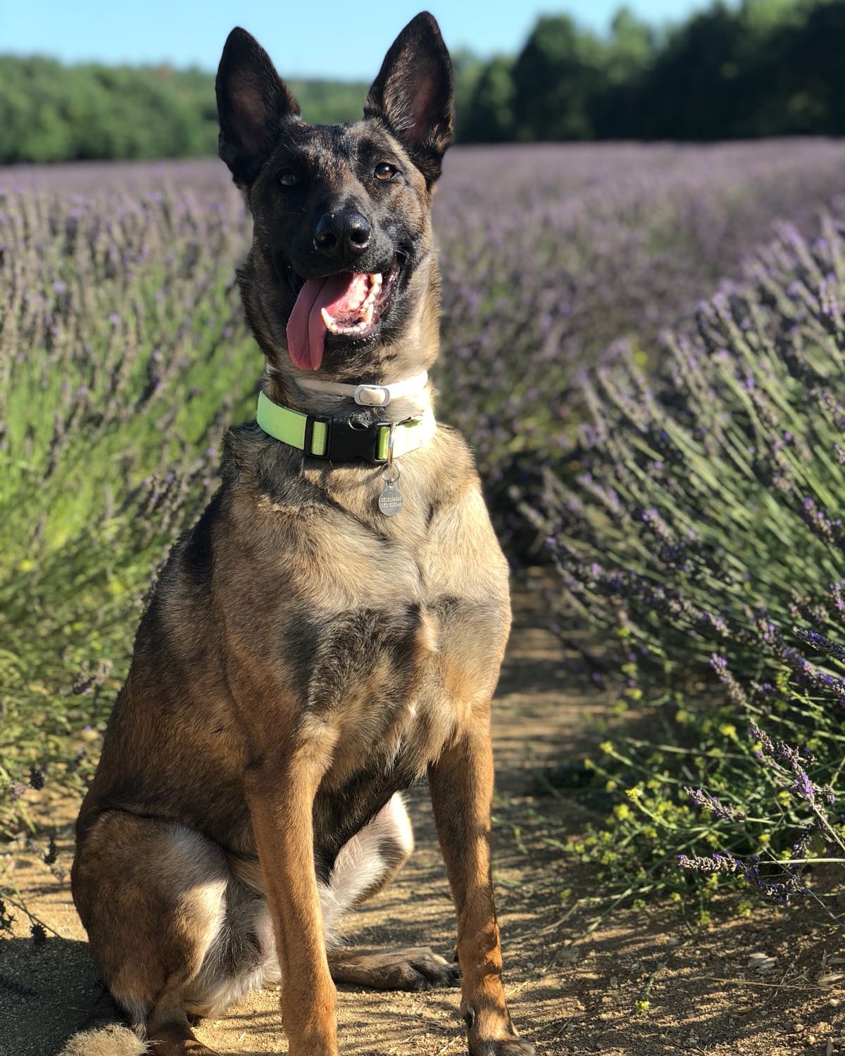Photo n° 1 de l'avis de Marion.e fait le 17/08/2018 à 20:12