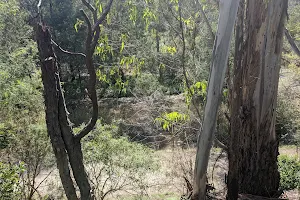 Warrandyte River Reserve Dog Off Leash Area image