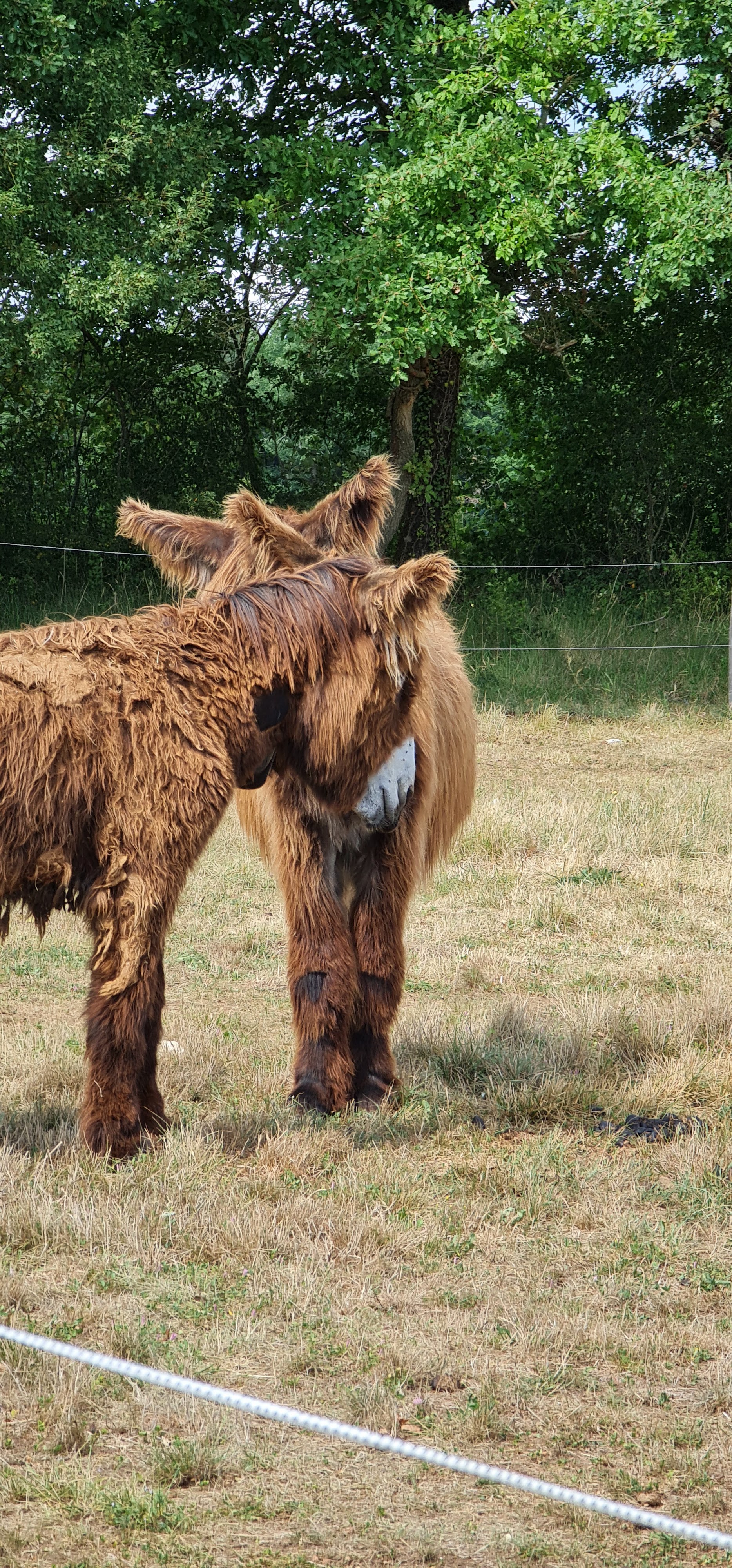 Photo n° 9 de l'avis de Jean.r fait le 23/07/2022 à 17:55