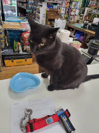 Pet Supply Store «Pet Supply Santa Clarita», reviews and photos, 26831 Bouquet Canyon Rd, Santa Clarita, CA 91350, USA