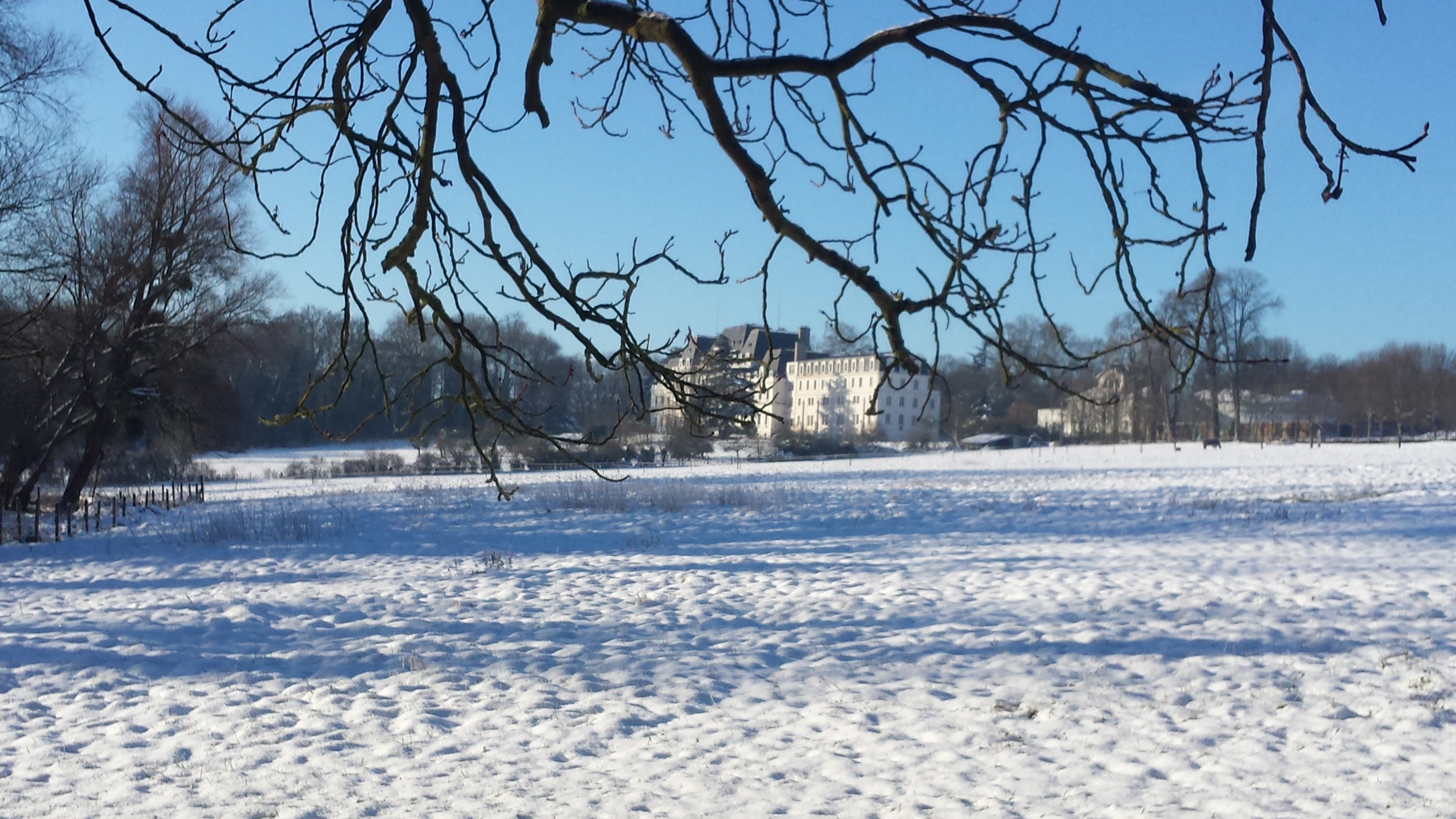 Photo n° 2 de l'avis de Philippe.a fait le 10/02/2018 à 09:56