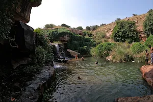 Hamsalakona waterfalls image