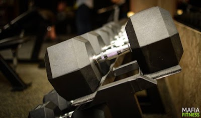 Photos of Mafia Fitness