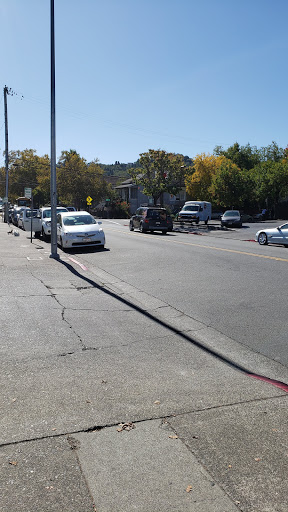 Non-Profit Organization «St. Vincent de Paul Society», reviews and photos