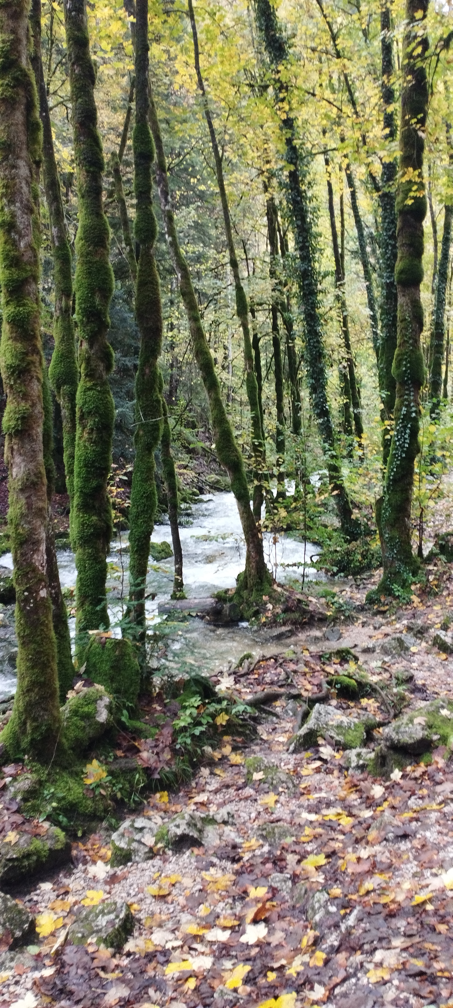 Photo n° 1 de l'avis de Didier.a fait le 30/10/2023 à 06:59
