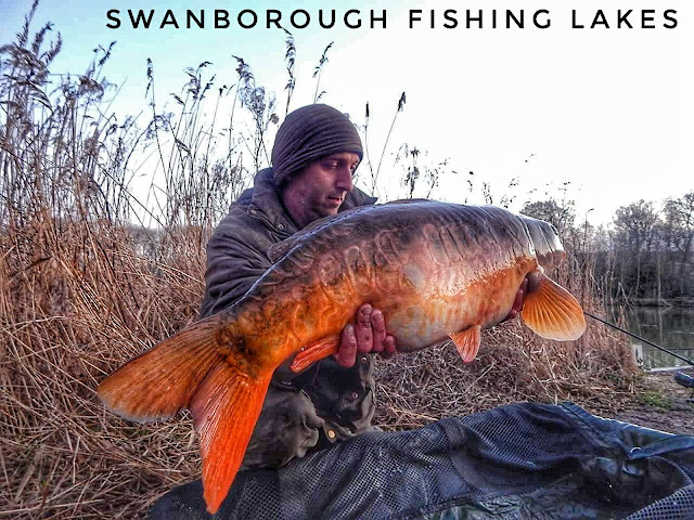 Swanborough Fishing Lakes