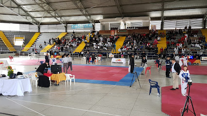 Palacio de Los Deportes