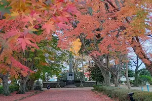 Oyama Park image