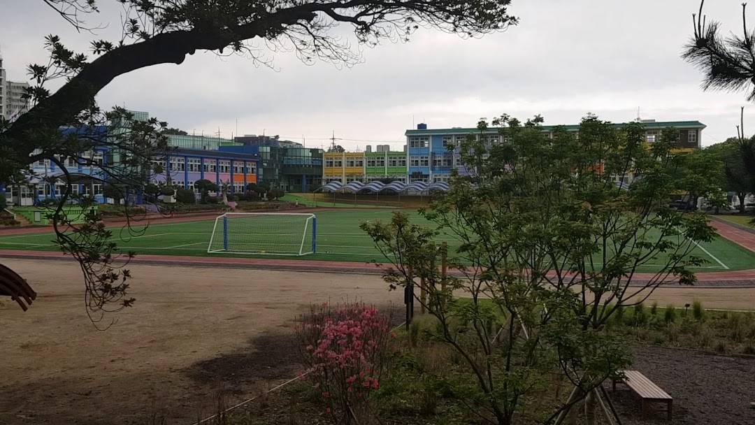 서귀포초등학교