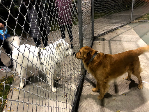 Park «Cerritos Park East», reviews and photos, 13234 E 166th St, Cerritos, CA 90703, USA