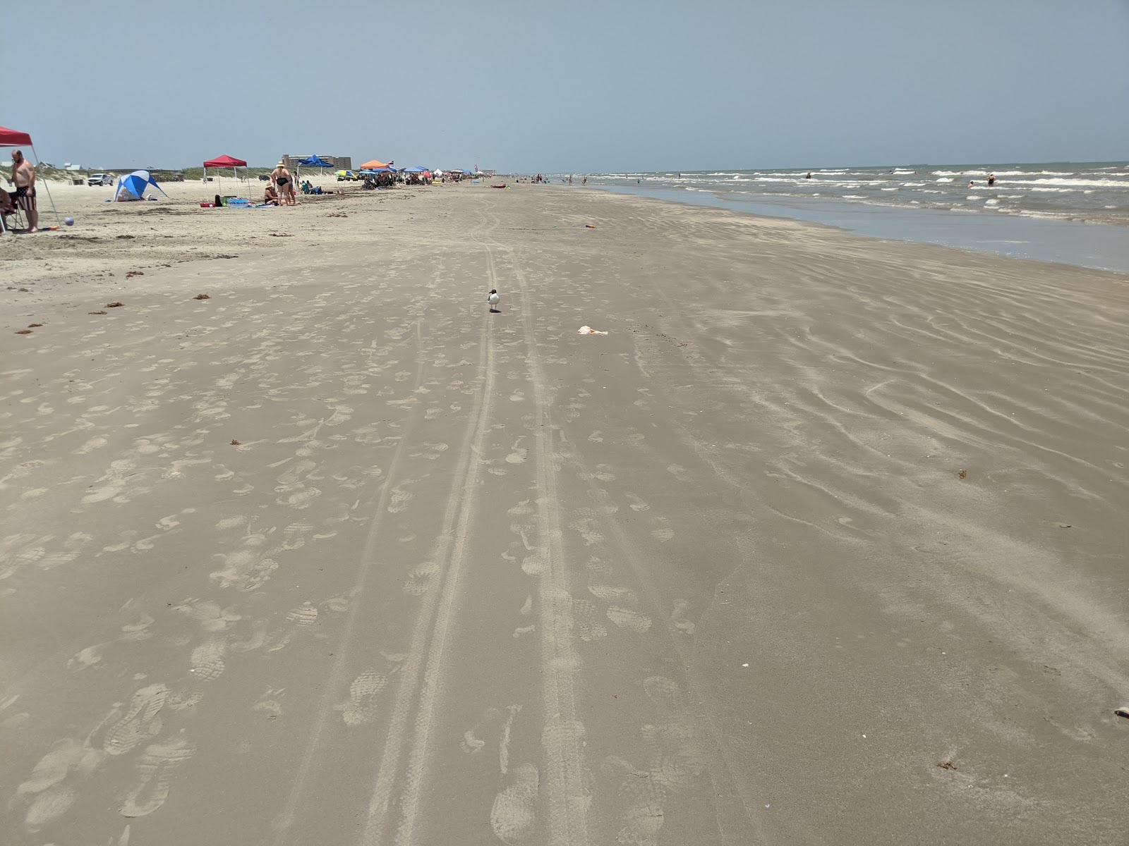 Photo of Tony Amos City beach with very clean level of cleanliness