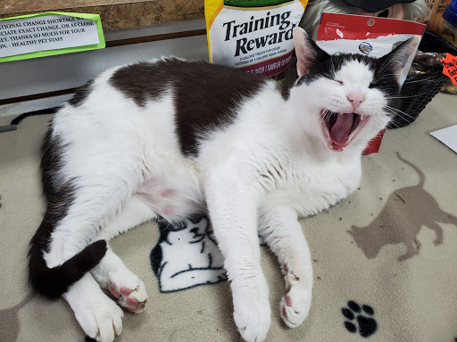 Pet Trainer «Healthy Pet Center», reviews and photos, 154 Delaware Ave, Delmar, NY 12054, USA