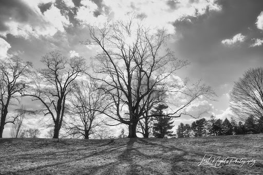 Tourist Attraction «Governor Ames Estate», reviews and photos, 35 Oliver St, North Easton, MA 02356, USA
