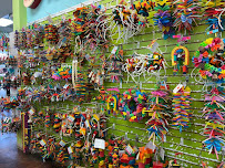 Tropic Zone Exotic Birds - Photo 3 - Car repair in Phoenix, AZ, Phoenix