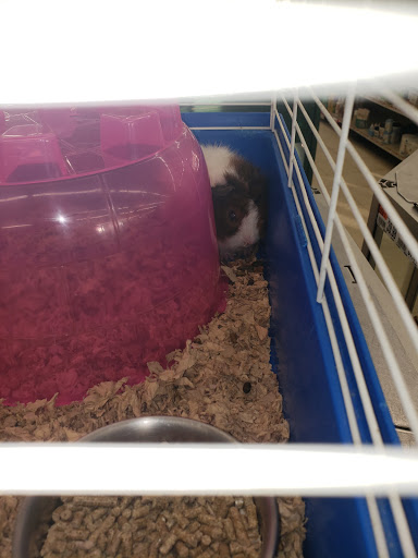 Pet Supply Store «Pet Supplies Plus», reviews and photos, 425 Water St, Chardon, OH 44024, USA