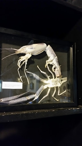 Non-Profit Organization «The Meadows Center for Water and the Environment», reviews and photos, 201 San Marcos Springs Dr, San Marcos, TX 78666, USA