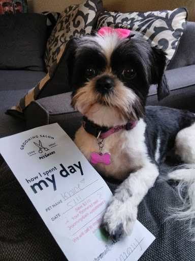 Pet Supply Store «PetSmart», reviews and photos, 79375 CA-111, La Quinta, CA 92253, USA