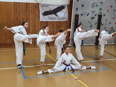 Zürich Taekwondo Imperial