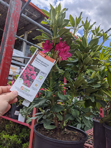 Home Improvement Store «The Home Depot», reviews and photos, 230 Oak Lee Dr, Ranson, WV 25438, USA