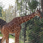 Photo n°6 de l'avis de Nicola.u fait le 30/07/2018 à 08:01 sur le  Parco Zoo Falconara Srl à Falconara Marittima