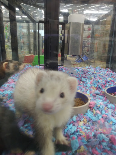 Pet Supply Store «Pet Supermarket», reviews and photos, 6307 N 9th Ave #1, Pensacola, FL 32504, USA