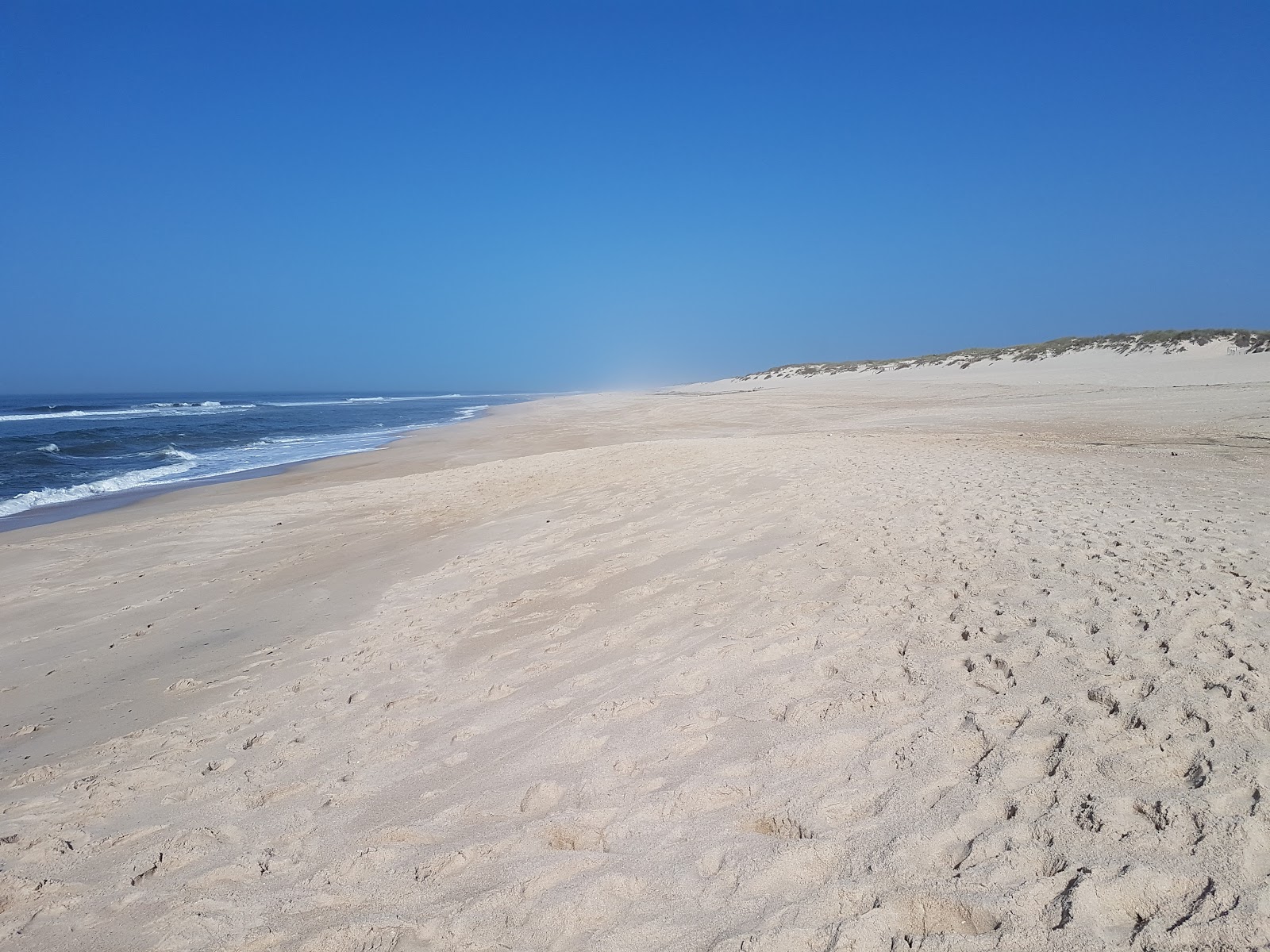 Praia de Mira photo #6