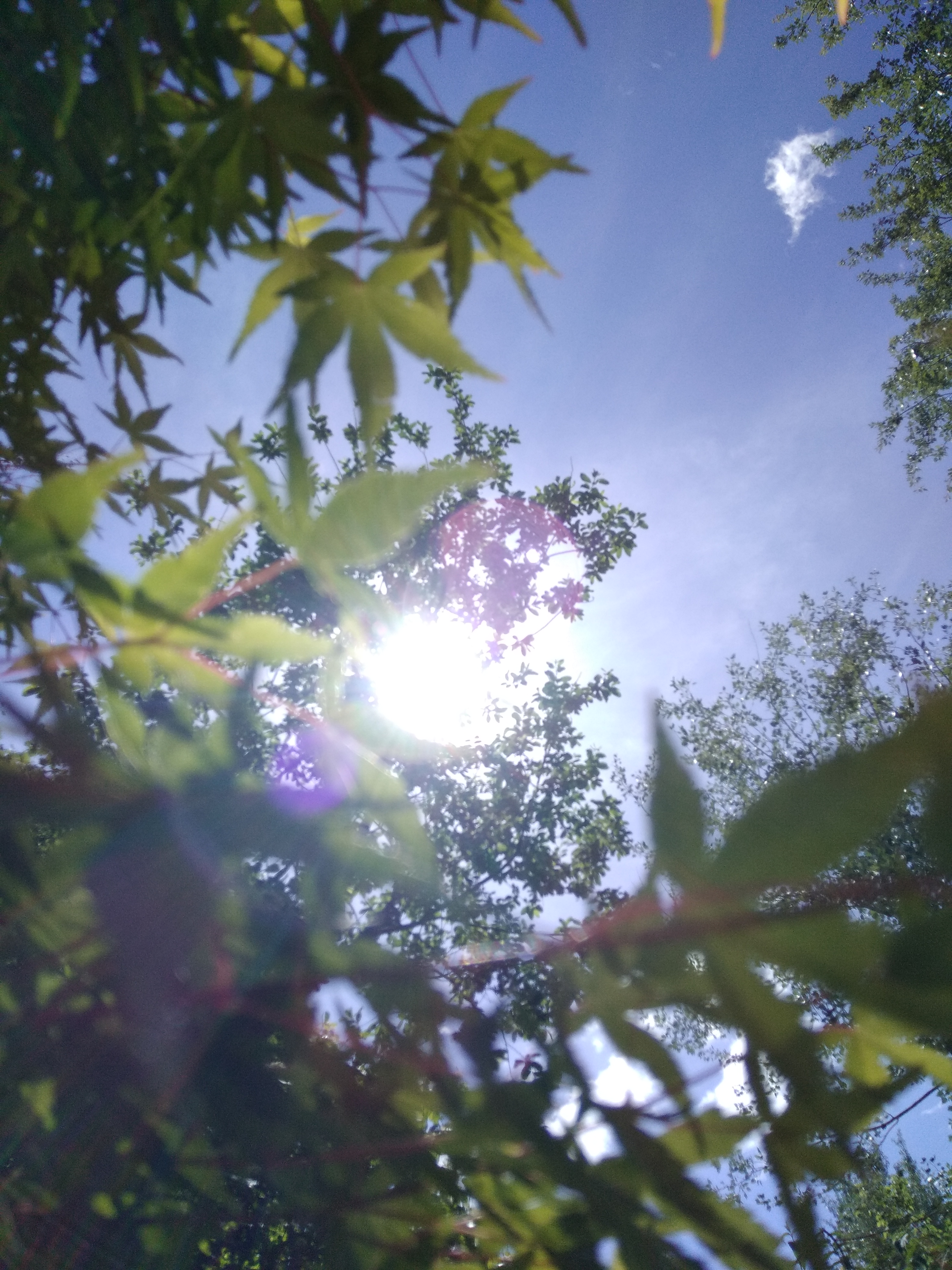 Photo n° 5 de l'avis de Kezia.r fait le 09/05/2019 à 14:40