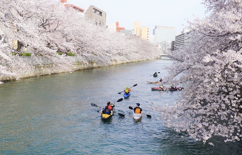 Tokyo Great Tours