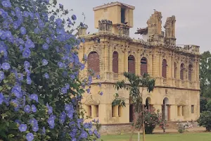 Sharad Baug Palace image