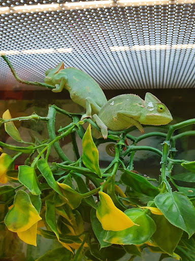 Pet Supply Store «Petco Animal Supplies», reviews and photos, 1624 Governors Square Blvd, Tallahassee, FL 32301, USA